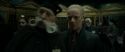 RdM1-Potterish6345.jpg