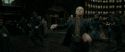RdM1-Potterish6352.jpg