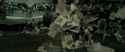 RdM1-Potterish6379.jpg