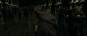 RdM1-Potterish6386.jpg