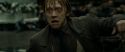 RdM1-Potterish6401.jpg
