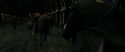 RdM1-Potterish6403.jpg