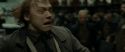 RdM1-Potterish6407.jpg