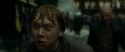 RdM1-Potterish6414.jpg