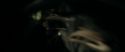 RdM1-Potterish6424.jpg