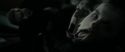 RdM1-Potterish6431.jpg