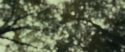 RdM1-Potterish6440.jpg