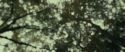 RdM1-Potterish6441.jpg