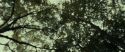 RdM1-Potterish6443.jpg