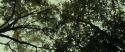 RdM1-Potterish6444.jpg