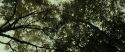 RdM1-Potterish6445.jpg