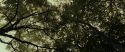 RdM1-Potterish6447.jpg