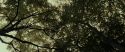 RdM1-Potterish6448.jpg