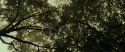 RdM1-Potterish6449.jpg