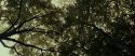 RdM1-Potterish6450.jpg