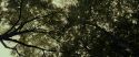 RdM1-Potterish6451.jpg