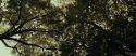 RdM1-Potterish6452.jpg