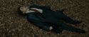 RdM1-Potterish6459.jpg