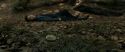 RdM1-Potterish6467.jpg