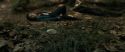 RdM1-Potterish6469.jpg