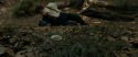 RdM1-Potterish6471.jpg
