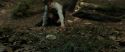 RdM1-Potterish6473.jpg