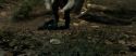 RdM1-Potterish6474.jpg