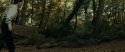 RdM1-Potterish6485.jpg
