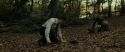 RdM1-Potterish6498.jpg