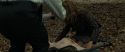 RdM1-Potterish6533.jpg