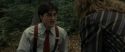 RdM1-Potterish6543.jpg