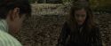 RdM1-Potterish6560.jpg