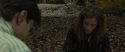 RdM1-Potterish6562.jpg