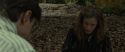 RdM1-Potterish6563.jpg