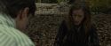RdM1-Potterish6564.jpg