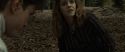 RdM1-Potterish6600.jpg