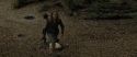 RdM1-Potterish6607.jpg