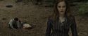 RdM1-Potterish6614.jpg