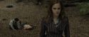 RdM1-Potterish6615.jpg