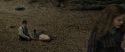 RdM1-Potterish6640.jpg