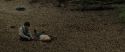 RdM1-Potterish6643.jpg