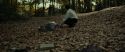RdM1-Potterish6649.jpg