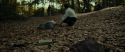 RdM1-Potterish6650.jpg
