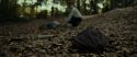 RdM1-Potterish6658.jpg