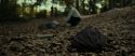 RdM1-Potterish6659.jpg