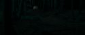 RdM1-Potterish6661.jpg