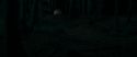 RdM1-Potterish6663.jpg
