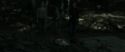 RdM1-Potterish6668.jpg