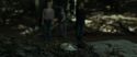 RdM1-Potterish6670.jpg
