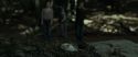 RdM1-Potterish6671.jpg